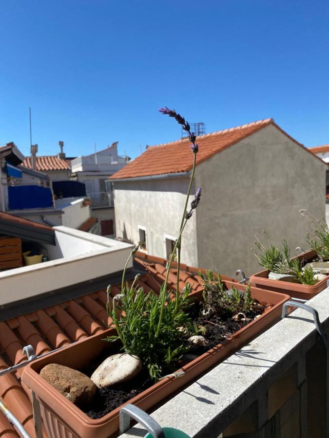 Lucy Apartment Piran-Punta 외부 사진